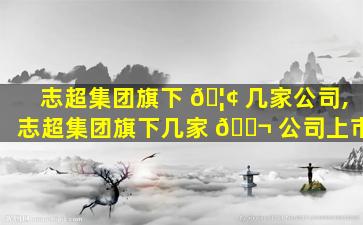 志超集团旗下 🦢 几家公司,志超集团旗下几家 🐬 公司上市